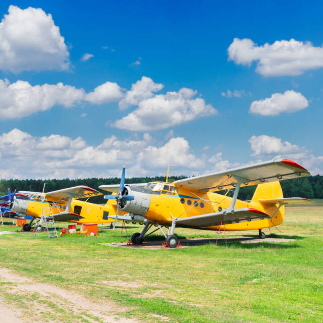 Row of vintage airplanes in summer field under blue sky