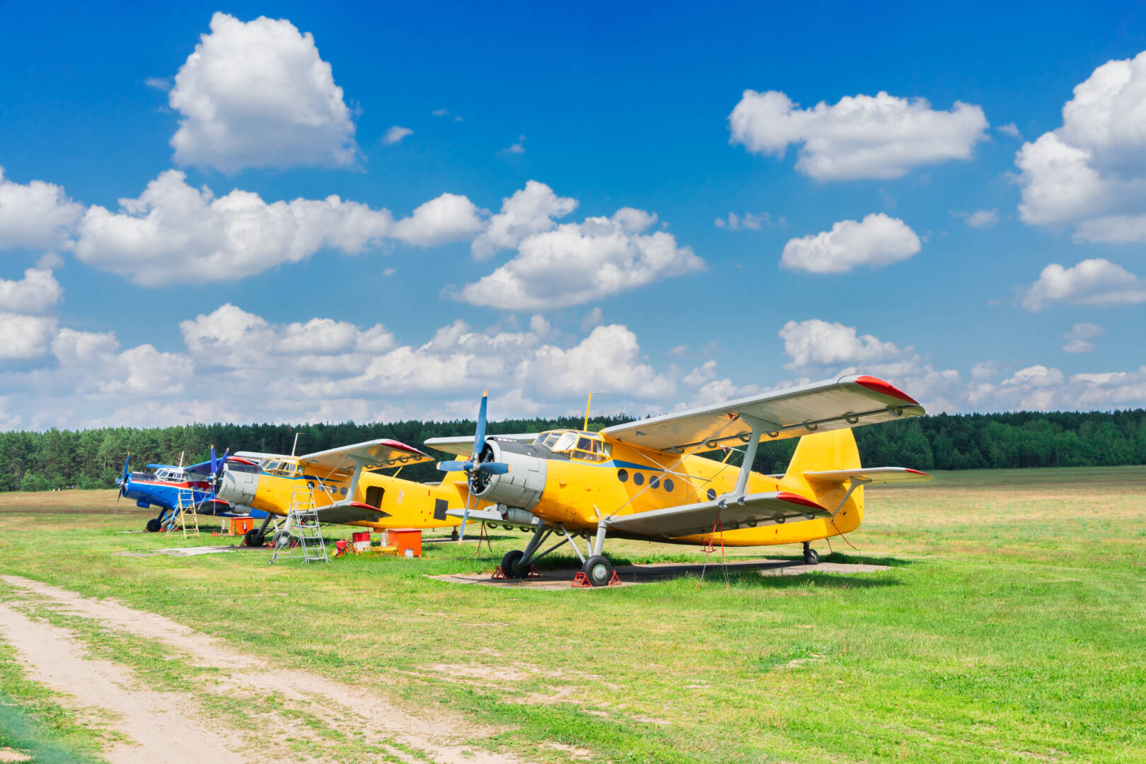 Row of vintage airplanes in summer field under blue sky